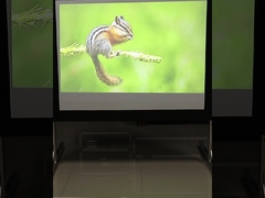 200» γρήγορες πτυχών προβολέων κινητές οθόνες πτυχών οθονών γρήγορες για την εκπαίδευση, κόμμα, συναυλία