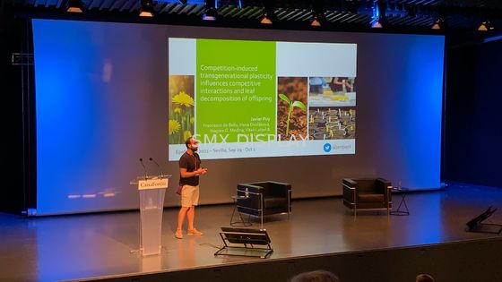 Ποιότητα 350inch μεγάλη μηχανοποιημένη οθόνη προβολής με τον τηλεχειρισμό RF Εργοστάσιο